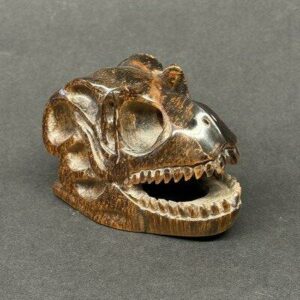 Crâne de dinosaure œil de tigre
