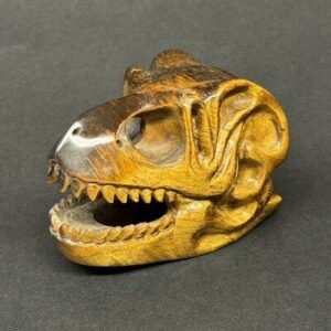 Crâne de dinosaure œil de tigre