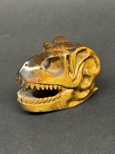 crane dinosaure oeil de tigre
