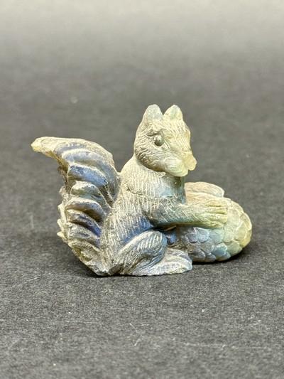 Ecureuil labradorite oise