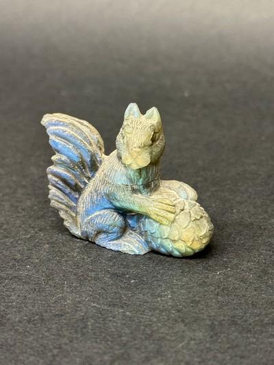 écureuil labradorite