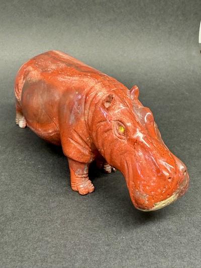 Hippopotame-bois-fossilisé-collection