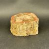 bois-fossilisé-oise