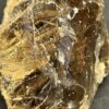quartz-rutile-collection