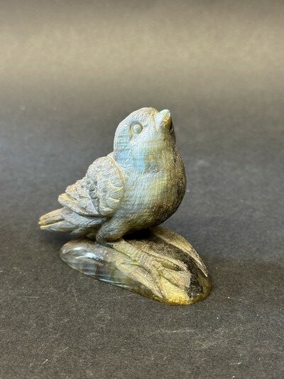 Oiseau-labradorite