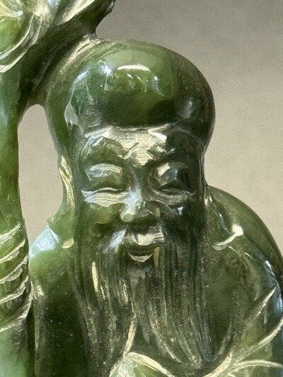sage-jade-epinard-longevite