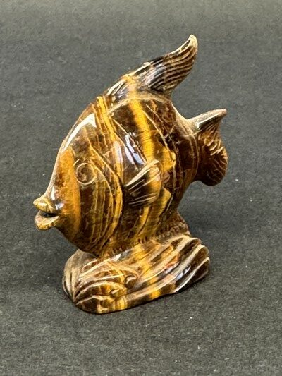 carpe-oeil-de-tigre-collection